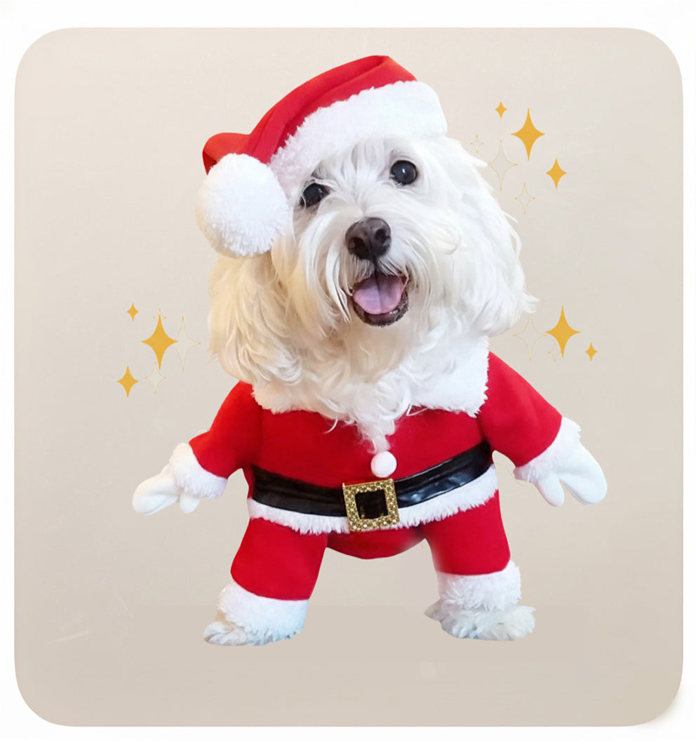 Christmas Pet Costumes
