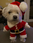 Santa Dog Costume - Pet Outfit with Hat