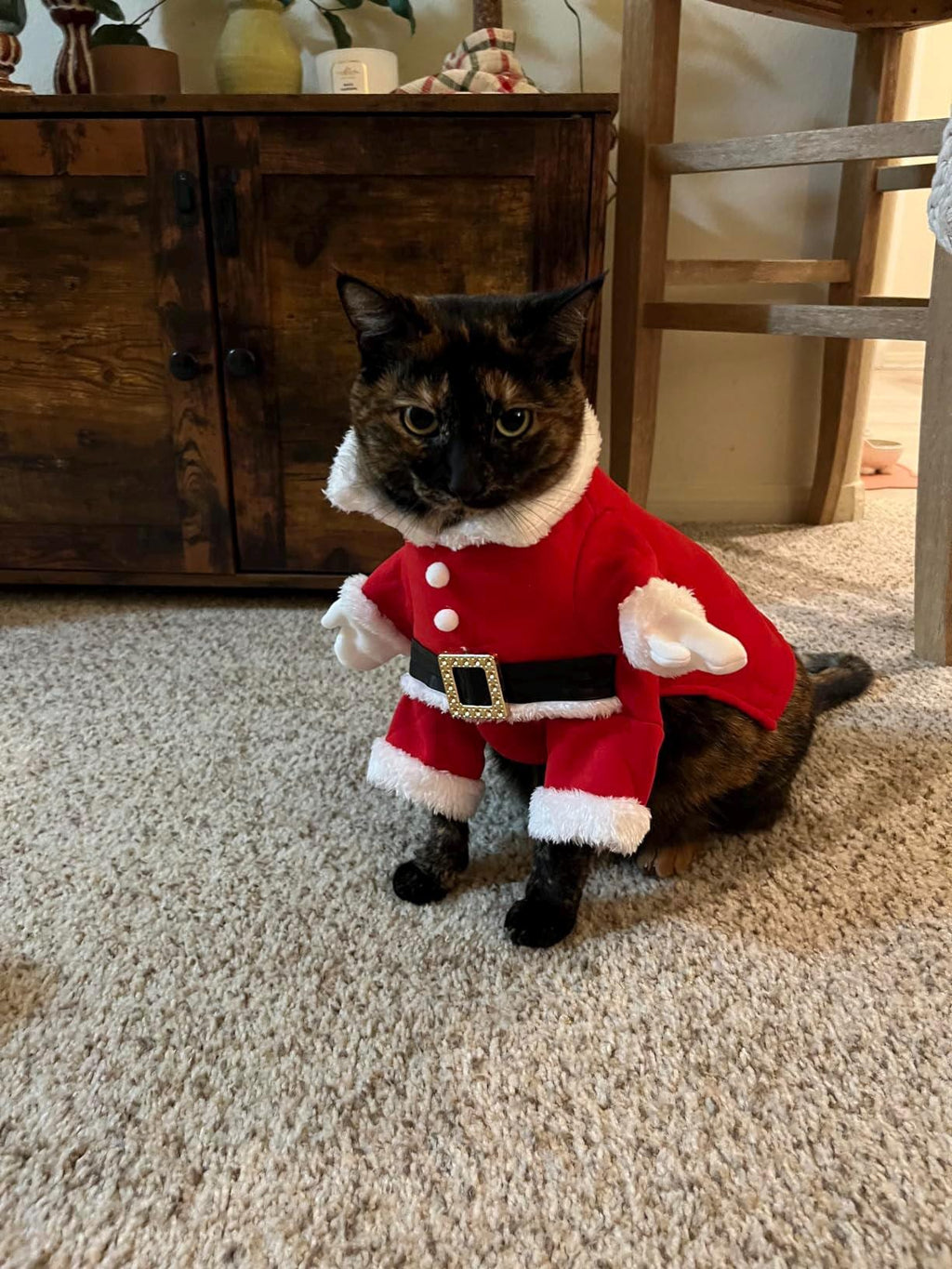 Santa Dog Costume - Pet Outfit with Hat