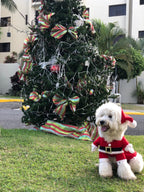 Santa Dog Costume - Pet Outfit with Hat