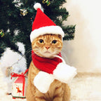 Santa Cat Costume - Hat and Scarf
