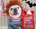 Spooky Pet Halloween Costume