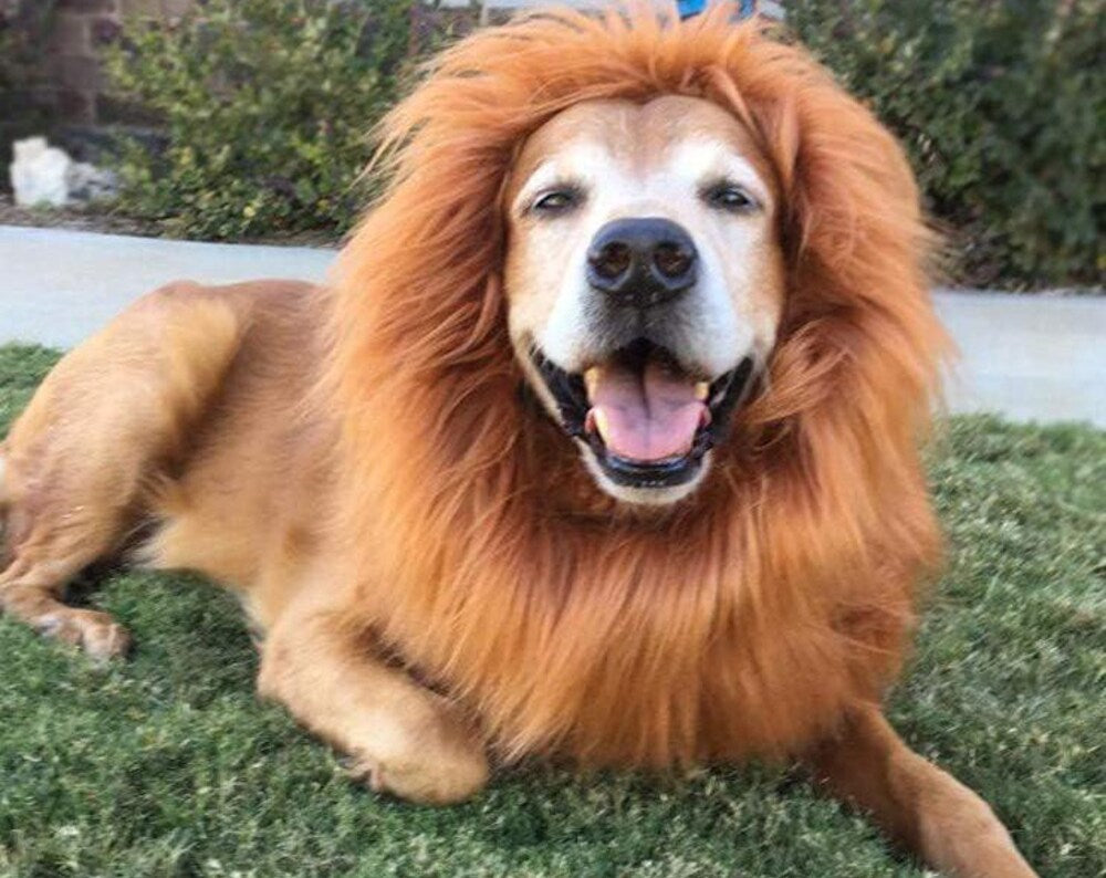 Lion Mane Dog Costume: Funny Halloween Pet Wig for Medium-Large Dogs