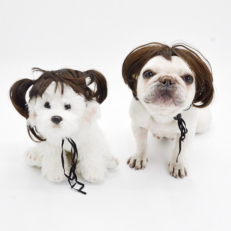 Pet Halloween Costume for Dogs & Cats - Funny Pet Wig – Hilarious Costume Wig – Pet Wig for Parties and Photos - Trimmable Pet Wig