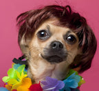 Pet Halloween Costume for Dogs & Cats - Funny Pet Wig – Hilarious Costume Wig – Pet Wig for Parties and Photos - Trimmable Pet Wig