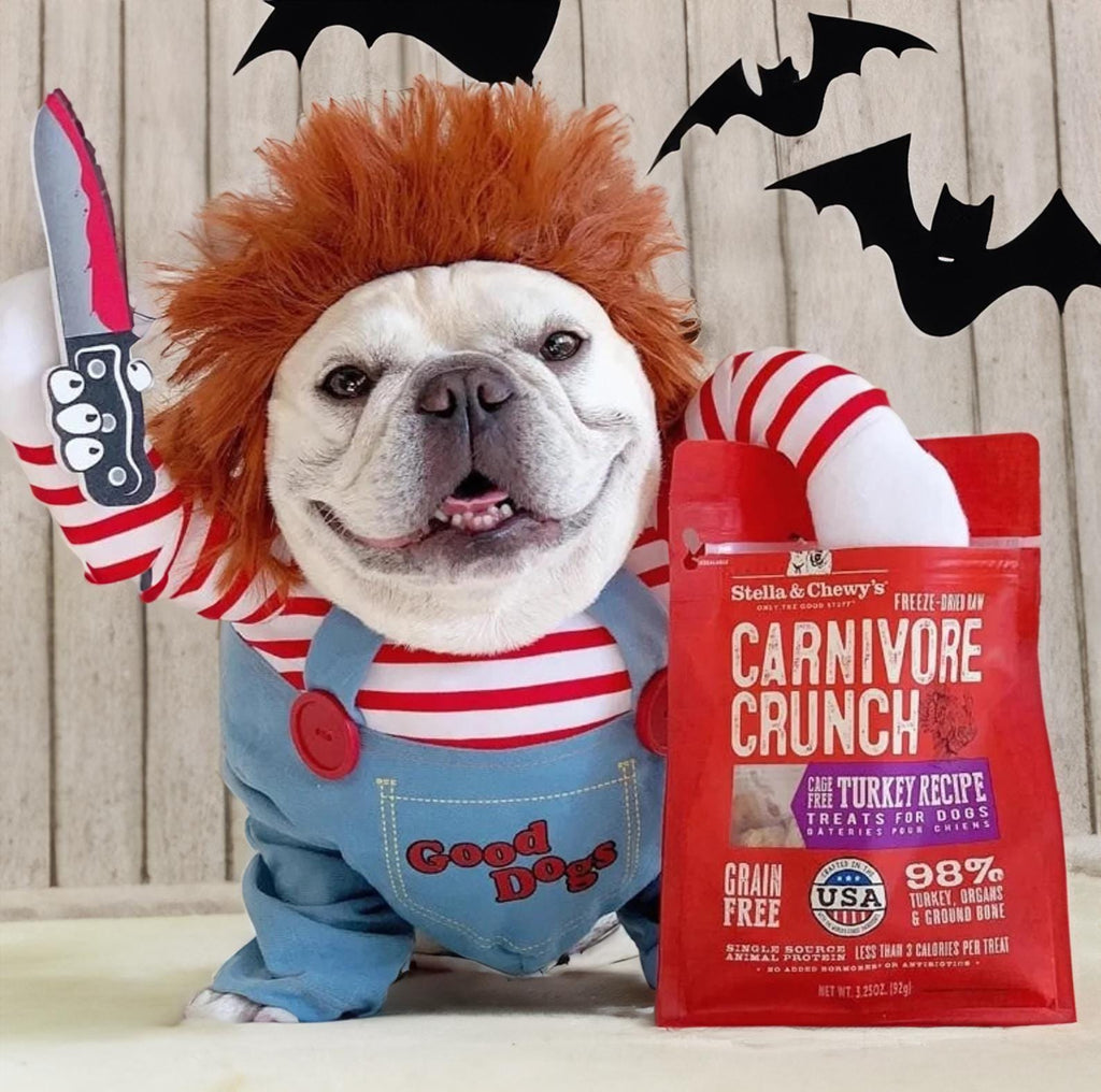 Halloween Pet Costume for Dogs & Cats – Spooky Pet Outfit – Funny Pet Costume – Cat Halloween Outfit