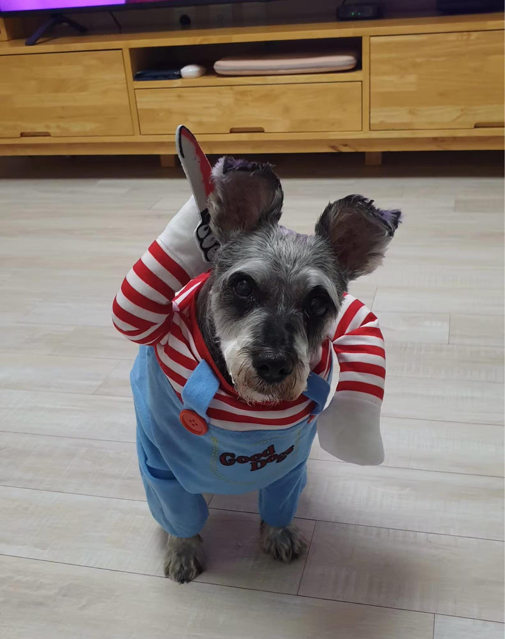 Halloween Pet Costume for Dogs & Cats – Spooky Pet Outfit – Funny Pet Costume – Cat Halloween Outfit