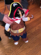 Pirate Halloween Costume for Dogs & Cats – Funny Pet Outfit – Cat Pirate Costume – Dog Halloween Costume