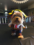 Pirate Halloween Costume for Dogs & Cats – Funny Pet Outfit – Cat Pirate Costume – Dog Halloween Costume