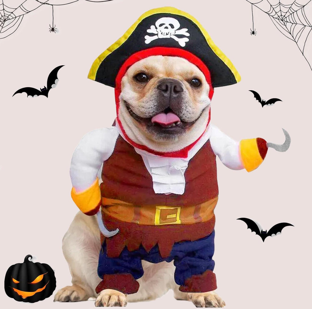 Pirate Halloween Costume for Dogs & Cats – Funny Pet Outfit – Cat Pirate Costume – Dog Halloween Costume