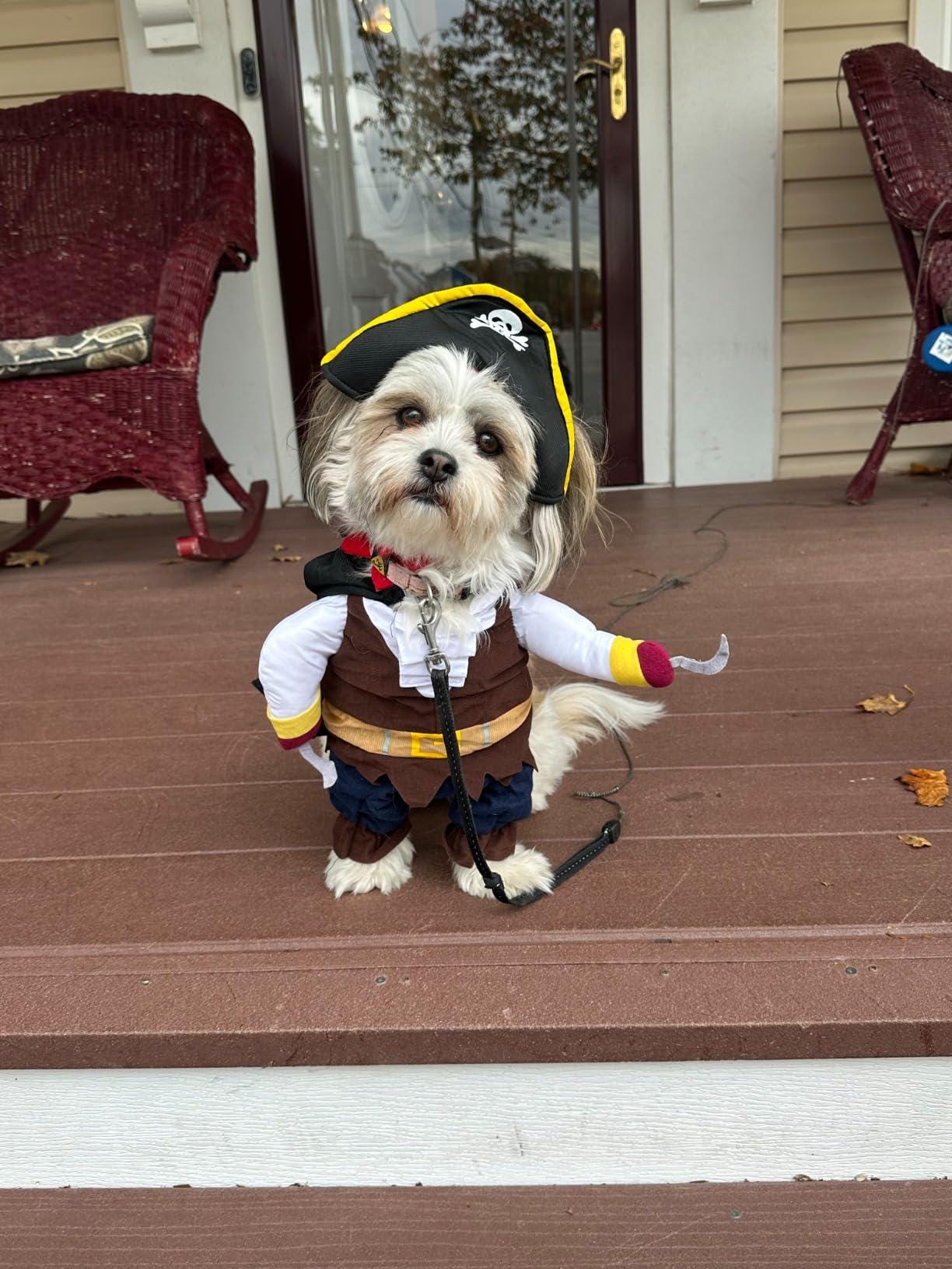 Pirate Halloween Costume for Dogs & Cats – Funny Pet Outfit – Cat Pirate Costume – Dog Halloween Costume