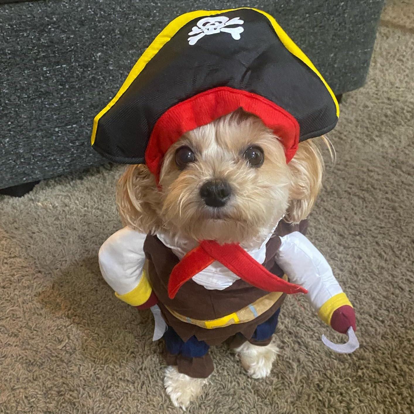 Pirate Halloween Costume for Dogs & Cats – Funny Pet Outfit – Cat Pirate Costume – Dog Halloween Costume