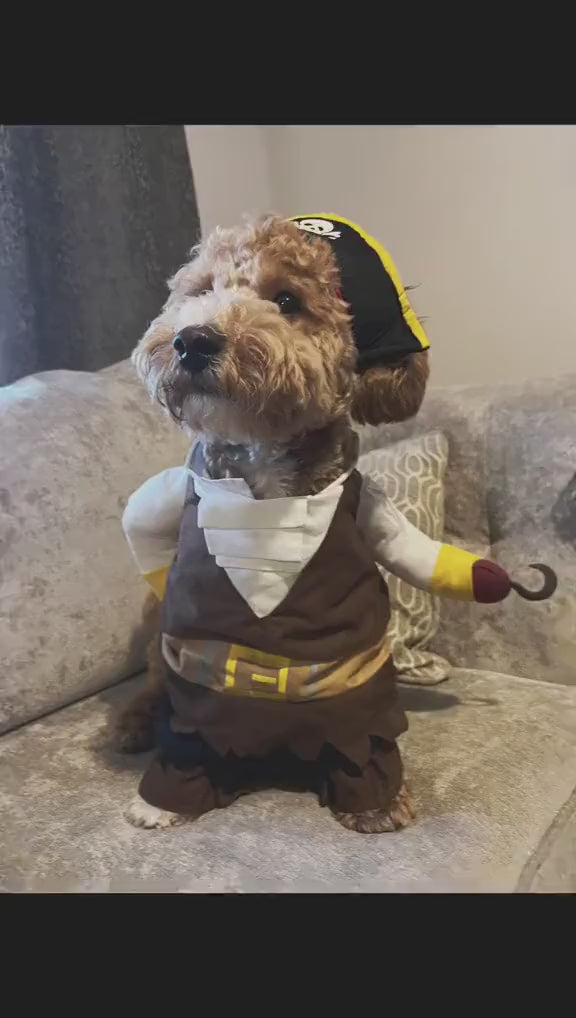 Pirate Halloween Costume for Dogs & Cats – Funny Pet Outfit – Cat Pirate Costume – Dog Halloween Costume