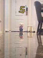 Halloween Pet Costume for Dogs & Cats – Spooky Pet Outfit – Funny Pet Costume – Cat Halloween Outfit